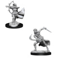 WizKids D&D Nolzur's Marvelous Miniatures: Air Genasi Female - WZK90305