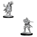 WizKids D&D Nolzur's Marvelous Miniatures: Hobgoblin Fighter Male & Hobgoblin Wizard Female - WZK90310