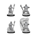 WizKids 73337 D&D Nolzurâ€™s Marvelous Miniatures: Water Genasi Male Druid (9003788370157)
