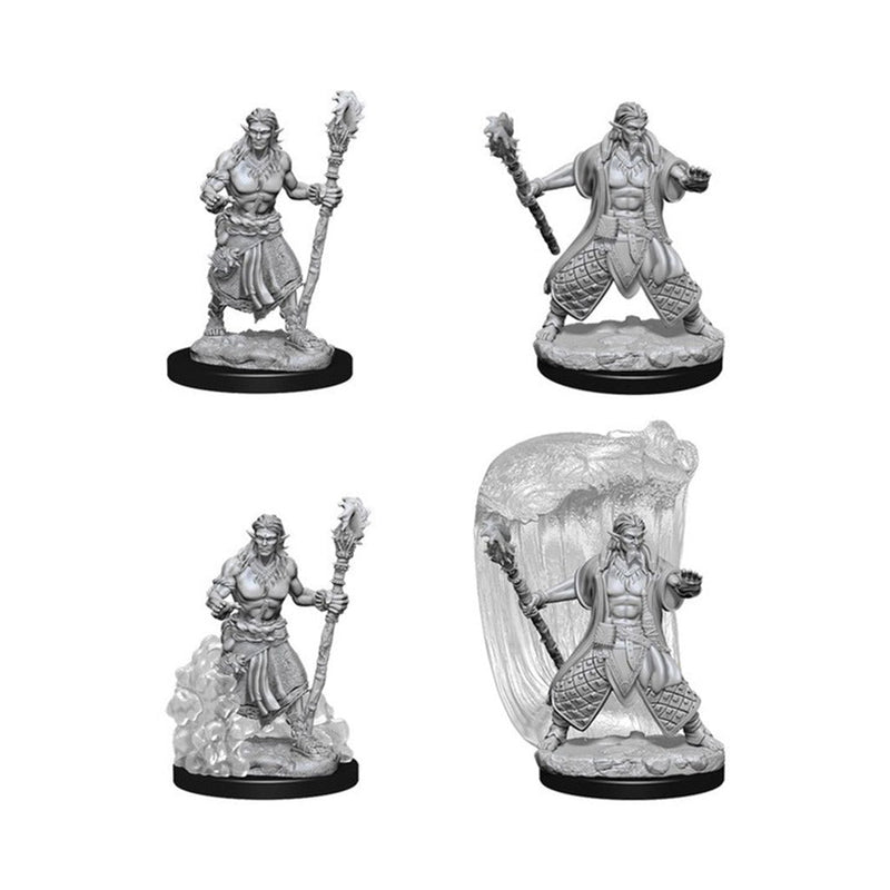 WizKids 73337 D&D Nolzurâ€™s Marvelous Miniatures: Water Genasi Male Druid (9003788370157)