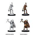 WizKids D&D Nolzur's Marvelous Miniatures: Female Human Barbarian - WZK90056