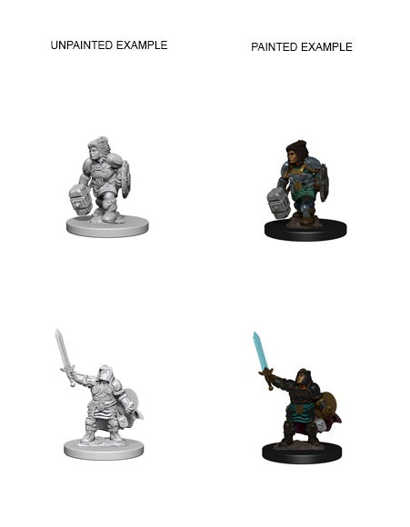 WizKids 72631 D&D Nolzurâ€™s Marvelous Miniatures: Dwarf Female Paladin (9003780833517)