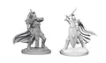 WizKids 73425 Pathfinder Battles Deep Cuts: Female Knights / Gray Maidens (9003795185901)