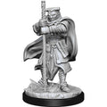 WizKids D&D Nolzur's Marvelous Miniatures: Hobgoblin Devastator & Hobgoblin Iron Shadow - WZK90159