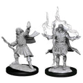 WizKids Pathfinder Deep Cuts: Elf Sorcerer Male - WZK90262