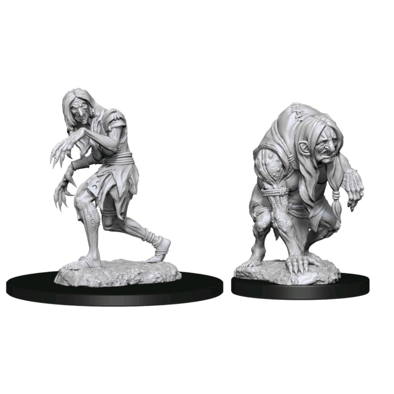 WizKids 90266 Pathfinder Battles Deepcuts Annis: Hag & Green Hag (9003824349421)