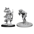 WizKids D&D Nolzur's Marvelous Miniatures Wererat & Weretiger - WZK90014
